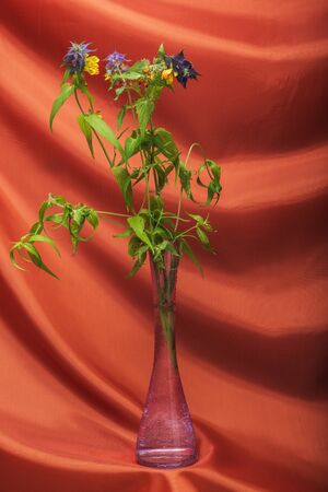 Still life flower. Spring, blossom season. Background, cloth..